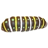 Stress Ball Catapillar